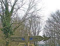 The Dorsetshire Gap, a special place