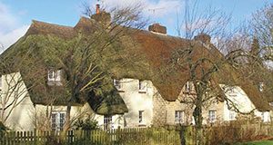 Dorset’s Big Farming Experiment