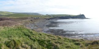 Black Gold by Philip Strange