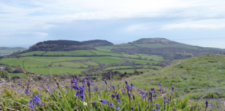 High on Hardown Hill