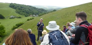 Dorset’s Tropical Rainforest
