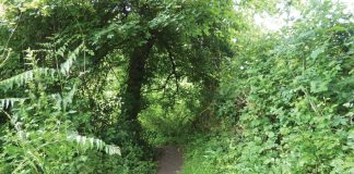 The Day the Earth Moved