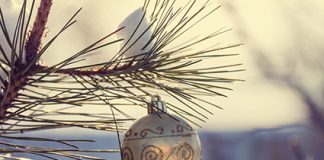 December in the Garden