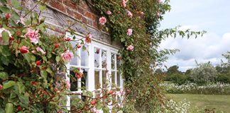 February in the Garden