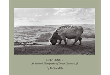 Deeply Rooted in the Landscape – photographs by Robin Mills