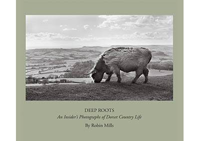 Deeply Rooted in the Landscape - photographs by Robin Mills » History ...
