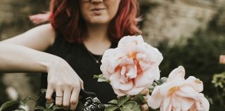 February in the Garden – theoretically the last month of winter