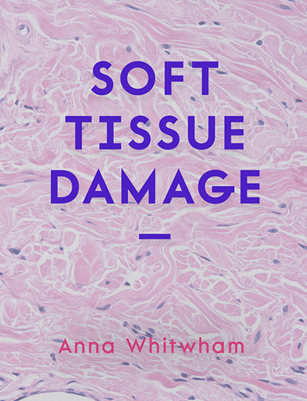 Tissue Fight Fighting Trauma - Anna Whitwham talks about boxing and loss » Books ...