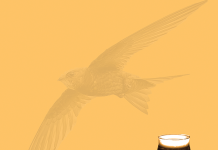 Part of the Point of the Pint