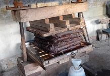 Awash with Squash & Feasting on Fruit