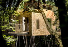 Your own spectacular woodland dream in Dorset