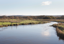 Nature Studies by Michael McCarthy