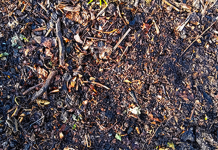 To Soil or not to Soil