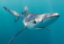 The Art of the Photograph – Jon Bunker