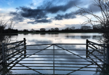 Jet Streams and Net Zero