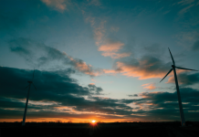 Net Zero or Bust by Bob Ward