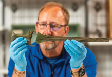 Treasures from deep beneath Dorset